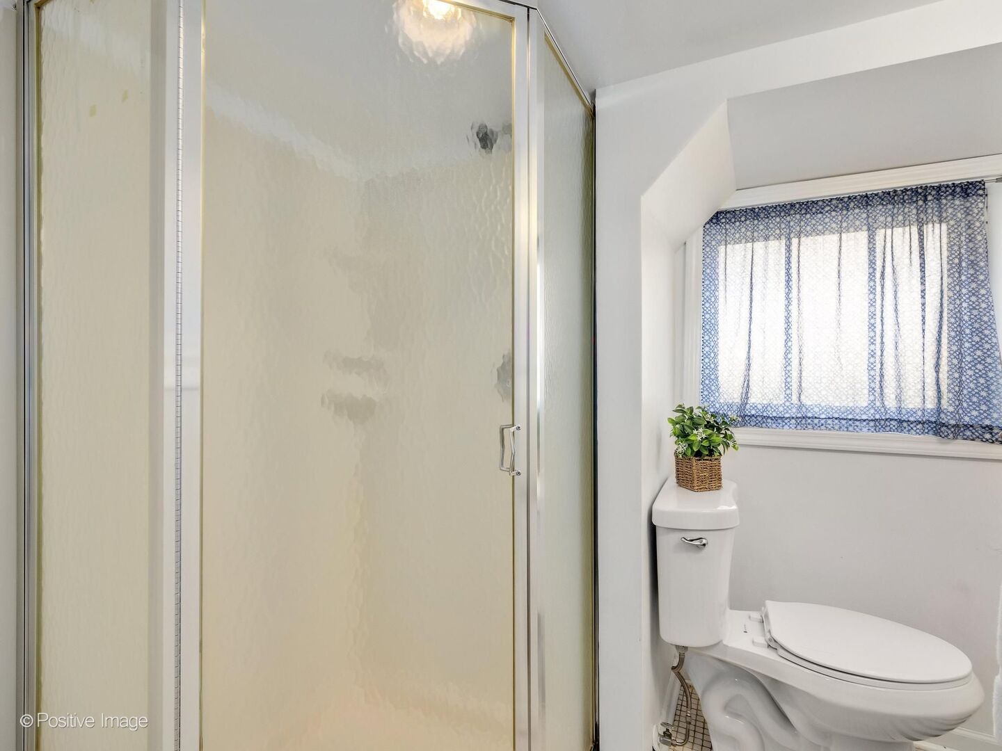 3147 Cleveland Avenue, Brookfield, IL 60513