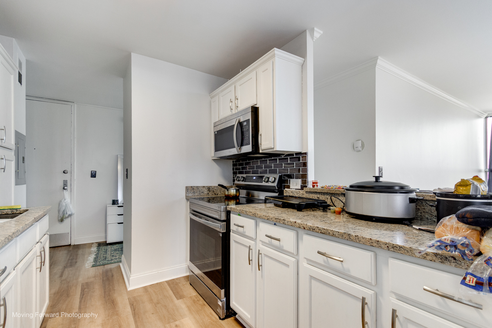 6730 S South Shore Drive #1504, Chicago, IL 60649
