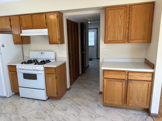 1217 Regent Drive, Mundelein, IL 60060