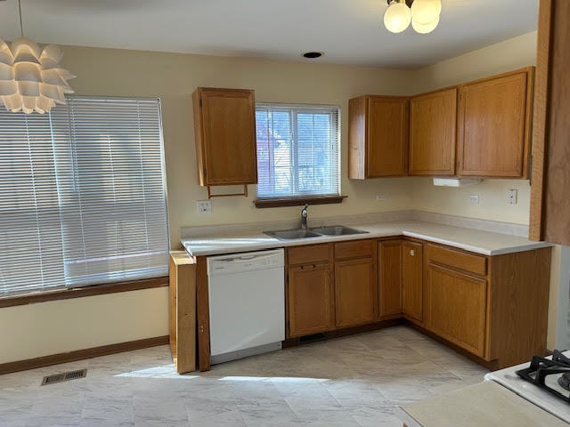 1217 Regent Drive, Mundelein, IL 60060