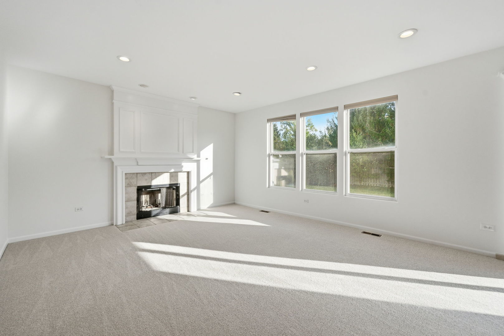 402 Marshall Ash Street, Bolingbrook, IL 60490