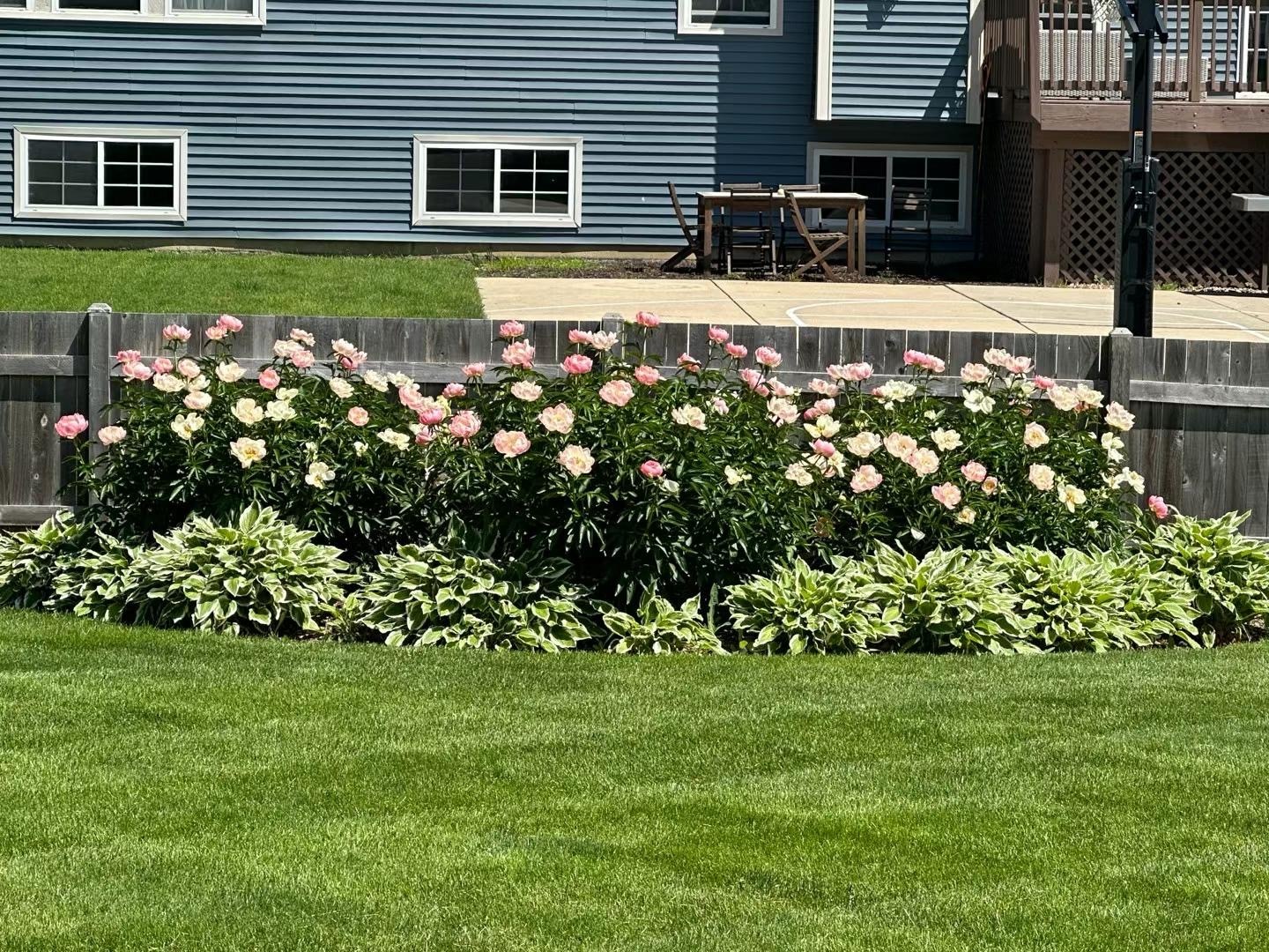 2717 Berman Road, North Aurora, IL 60542