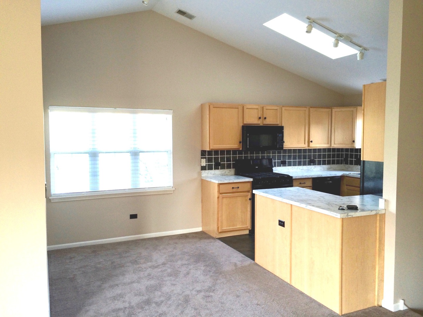 2919 Rutland Circle #201, Naperville, IL 60564