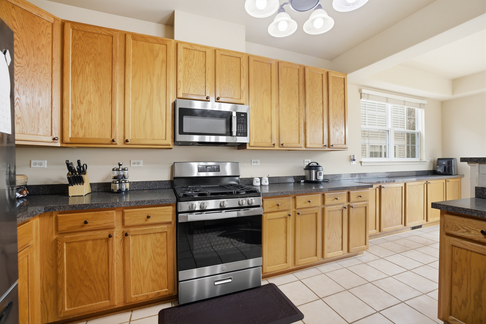 1412 GREGORY Court, Indian Creek, IL 60061