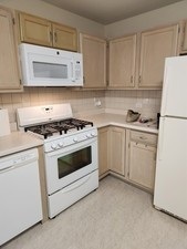 1403 Plum Court #B, Mount Prospect, IL 60056