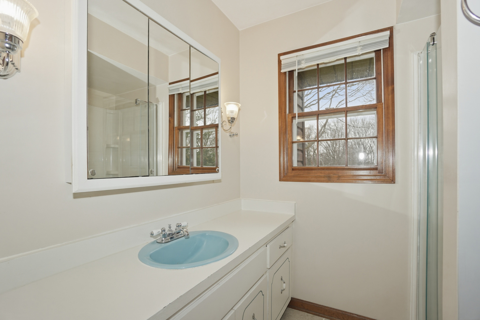 38679 N Pine Grove Avenue, Wadsworth, IL 60083