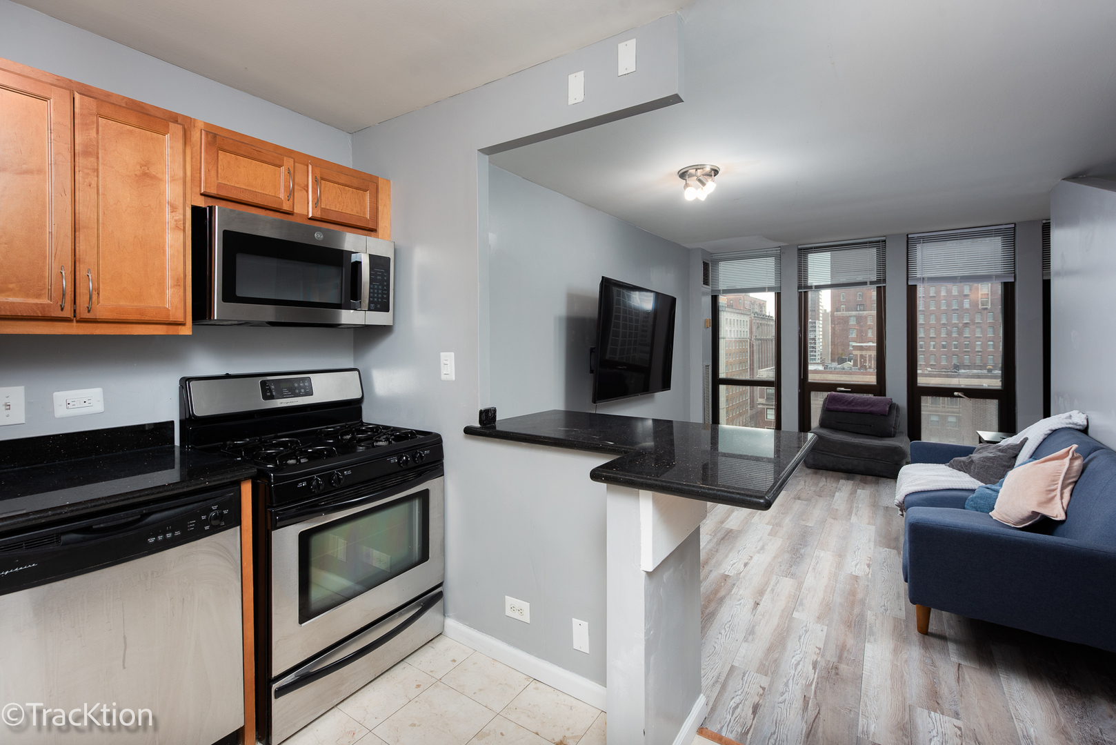 1 E Scott Street #1412, Chicago, IL 60610