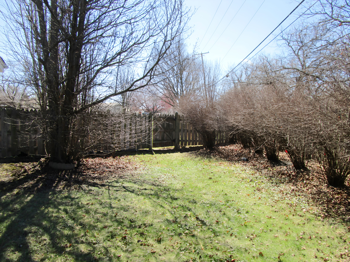 104 Oxford Place, Bloomingdale, IL 60108