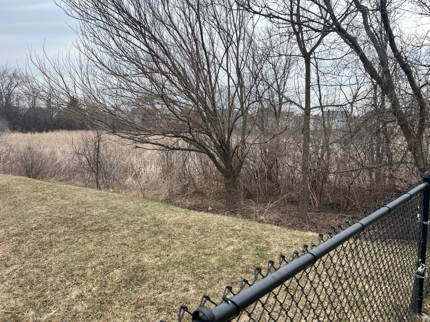 1656 Normandy Woods Court, Grayslake, IL 60030