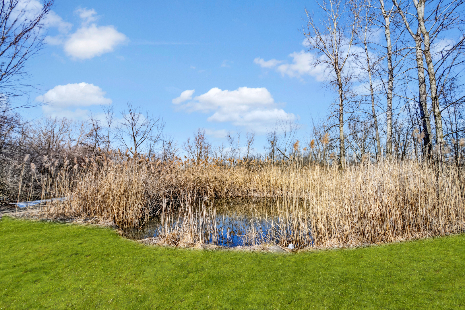 1822 Barthelone Street, Crest Hill, IL 60403