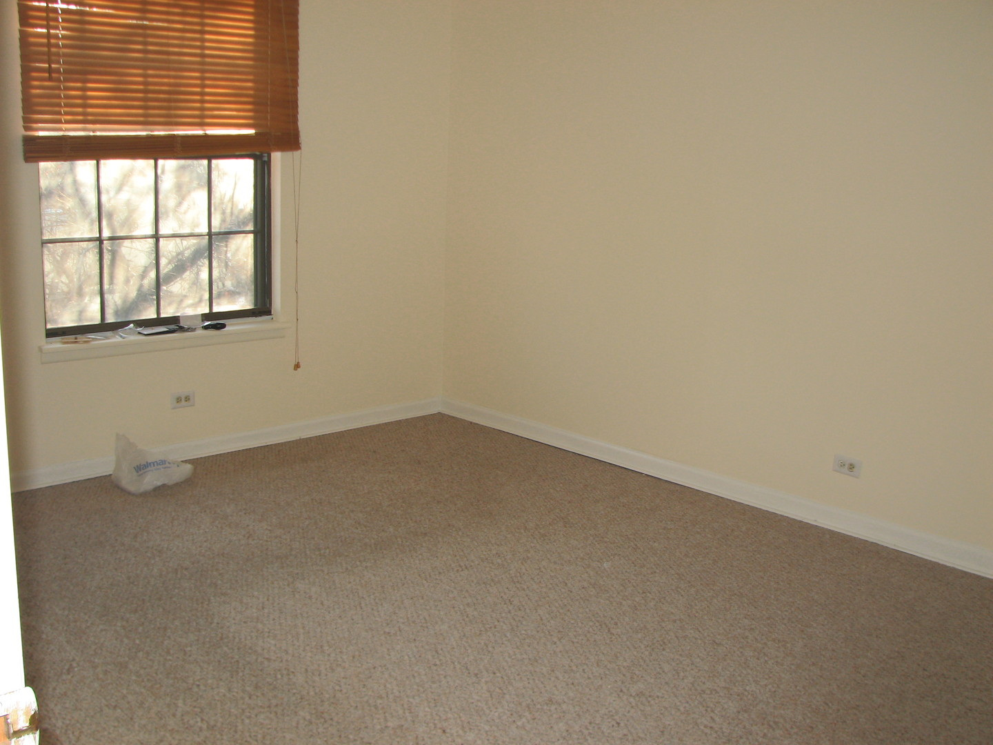 1166 NORTHBURY Lane #C2, Wheeling, IL 60090