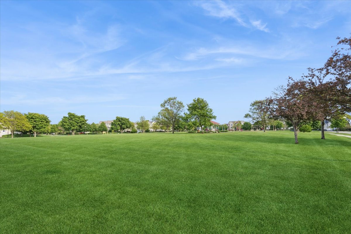 14516 Patriot Square Drive, Plainfield, IL 60544