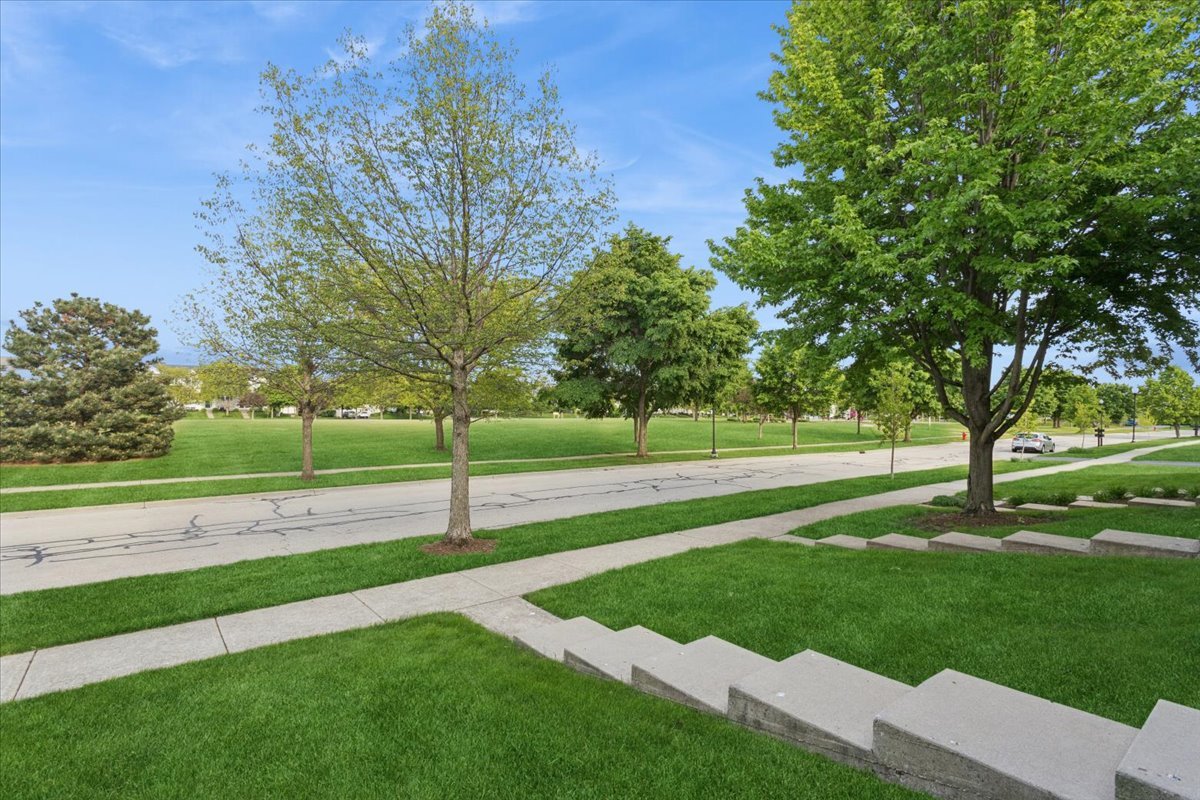14516 Patriot Square Drive, Plainfield, IL 60544
