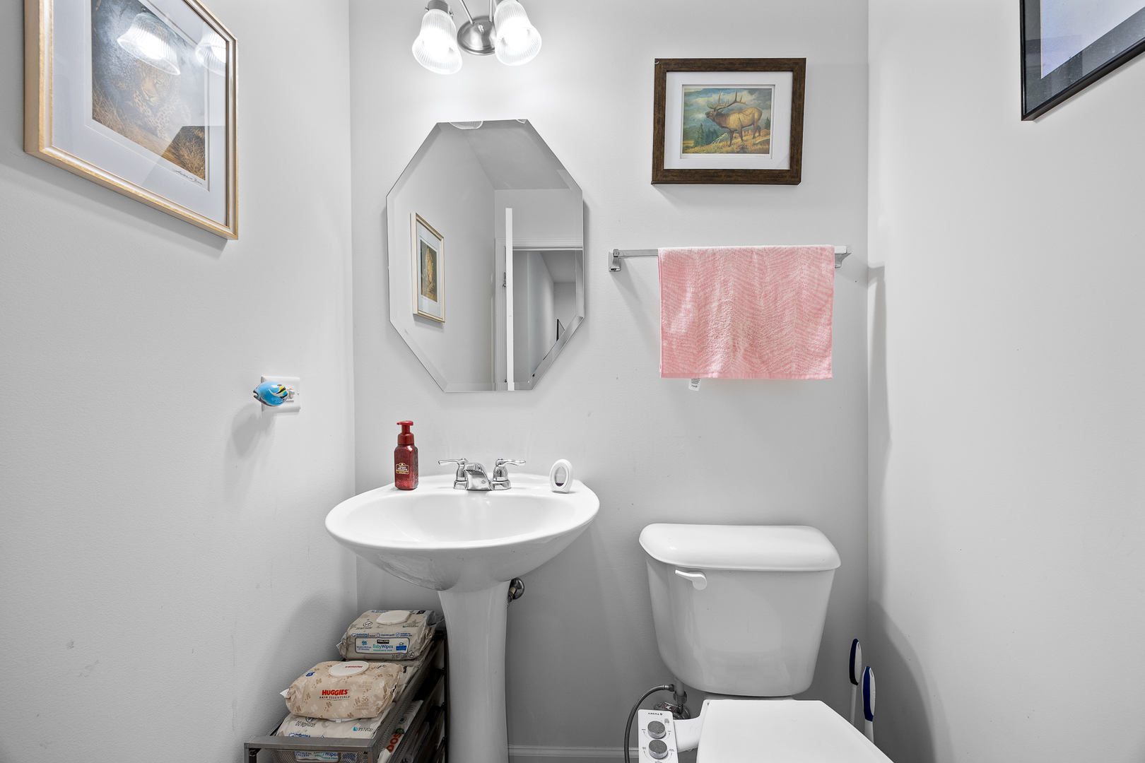 574 CANNONBALL Drive, Grayslake, IL 60030