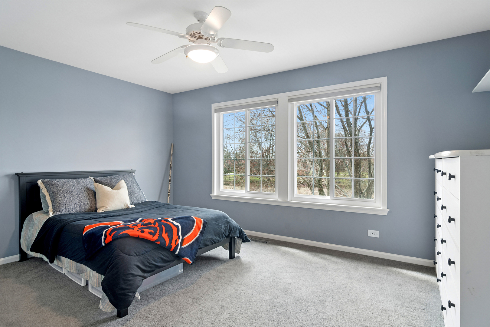 2248 Avalon Drive, Buffalo Grove, IL 60089