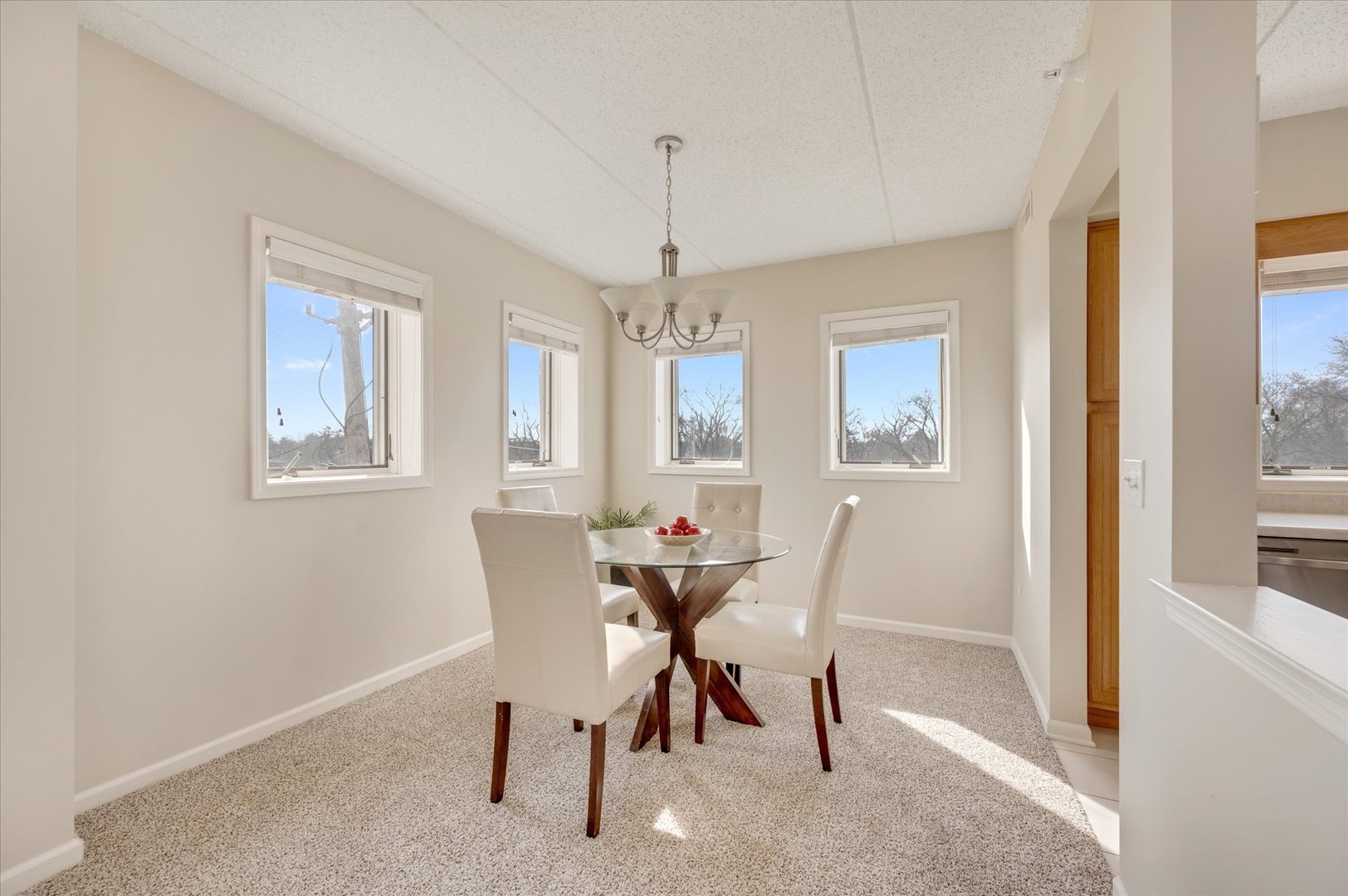 1 S Lincoln Avenue #311, Lombard, IL 60148