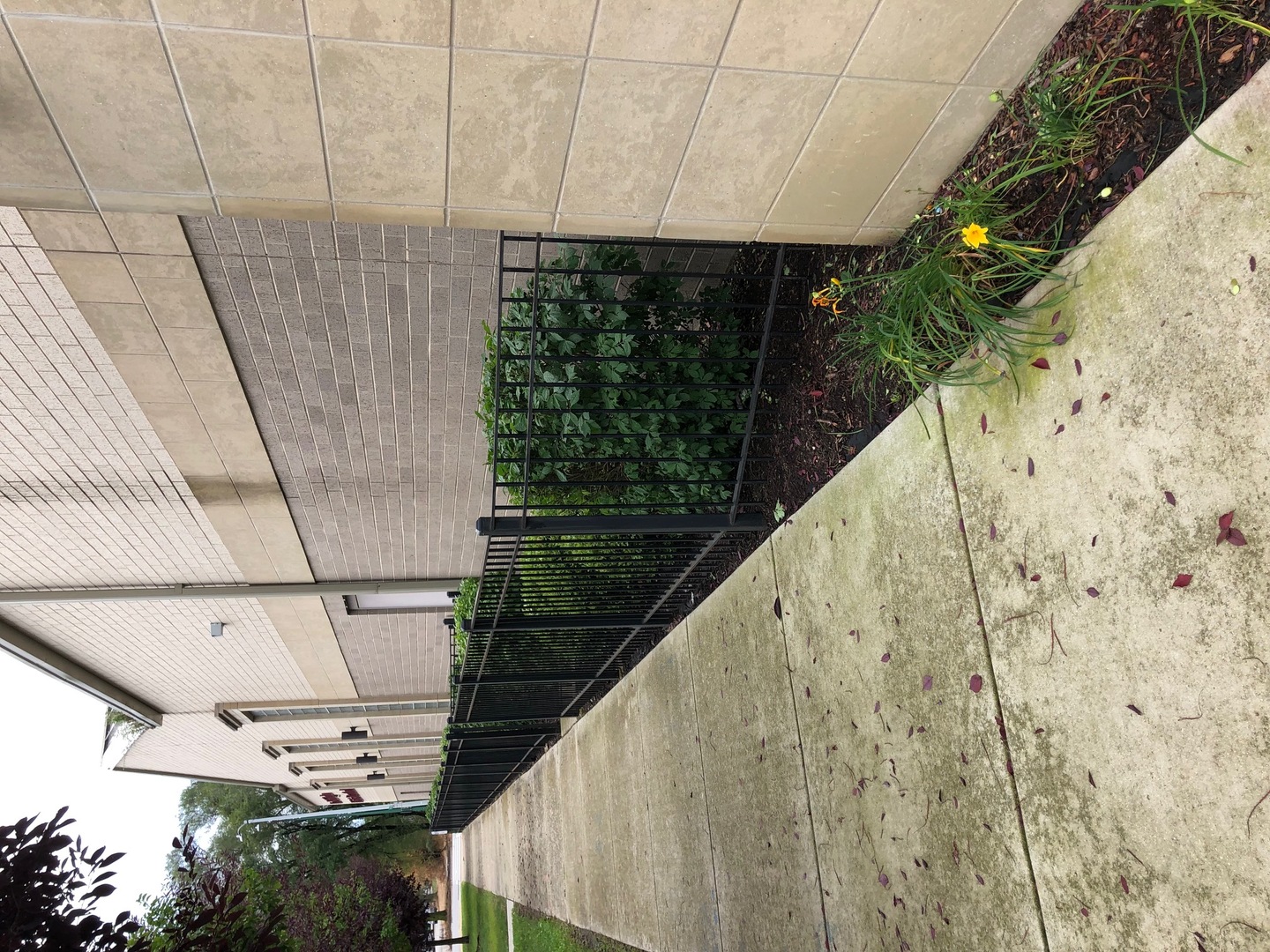 7042 S Princeton Street, Chicago, IL 60621