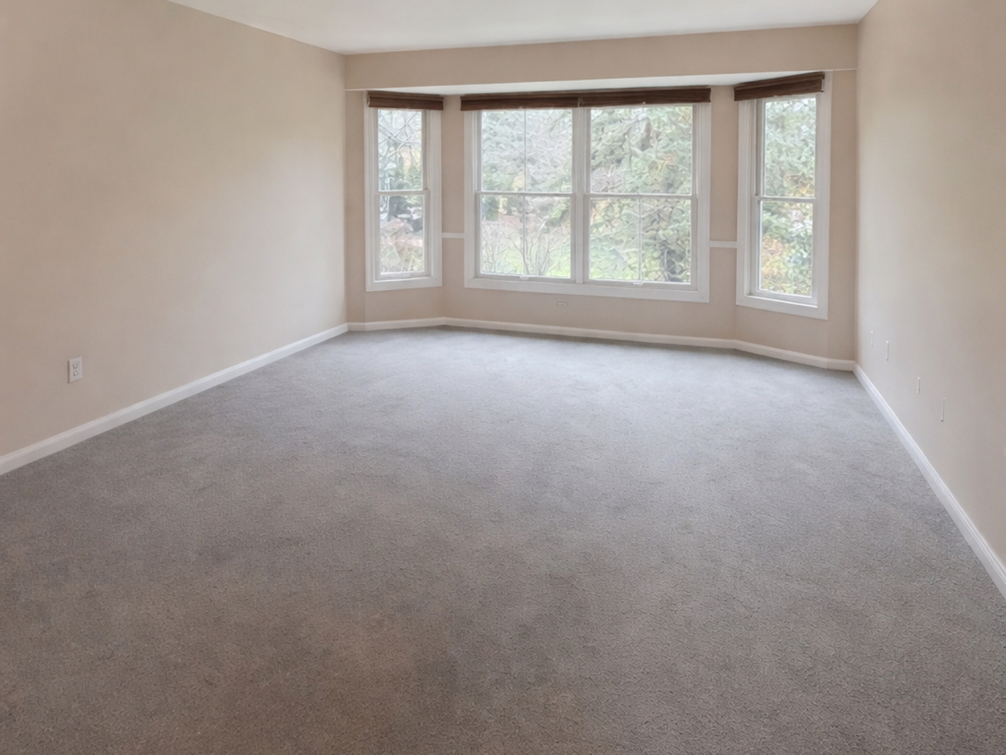 10709 Hollow Tree Road, Orland Park, IL 60462