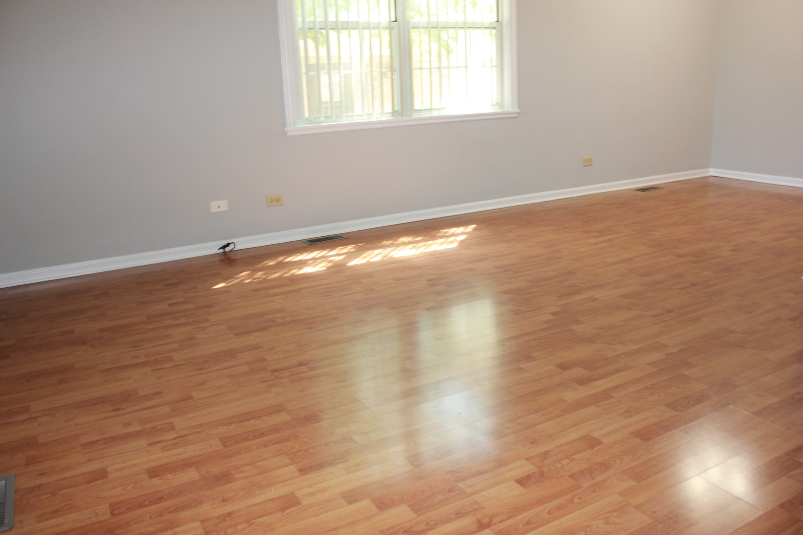 410 Ashwood Court, Vernon Hills, IL 60061