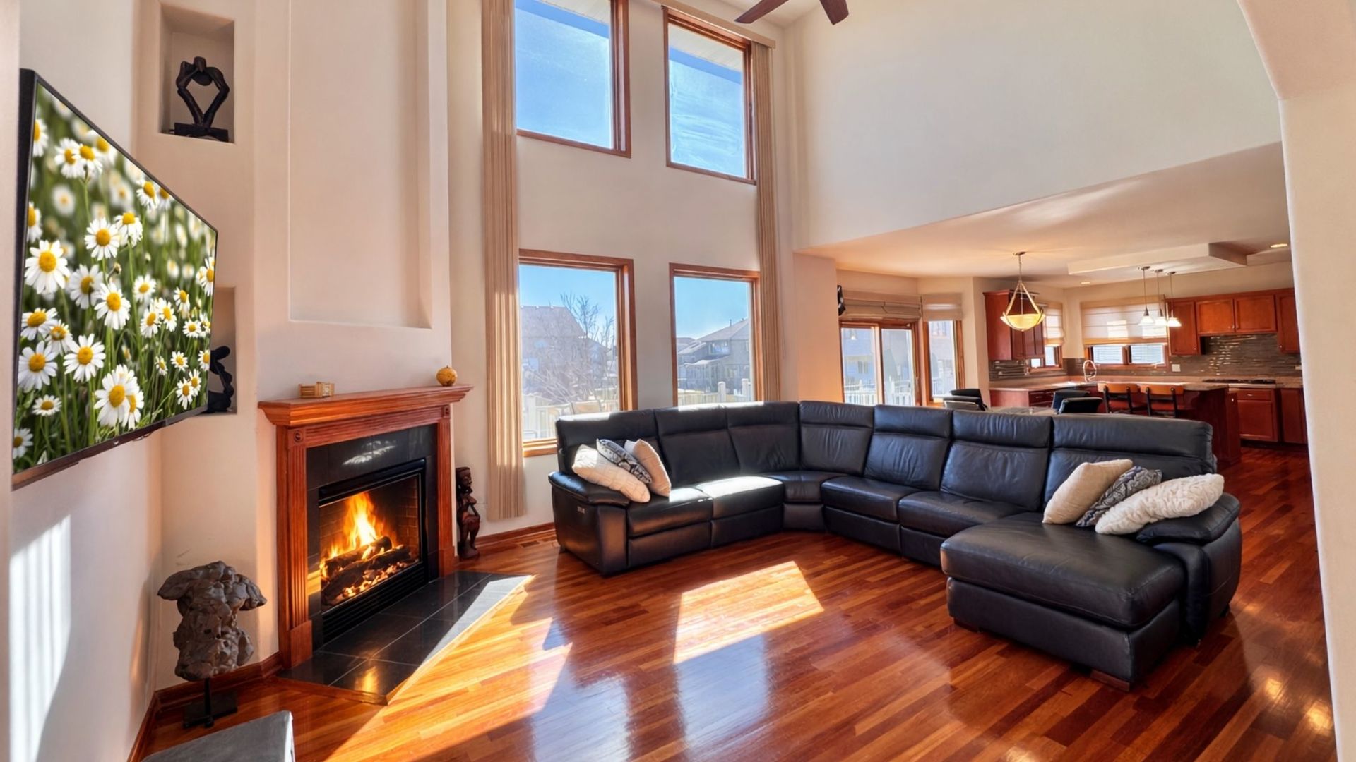 21249 Sophia Drive, Matteson, IL 60443