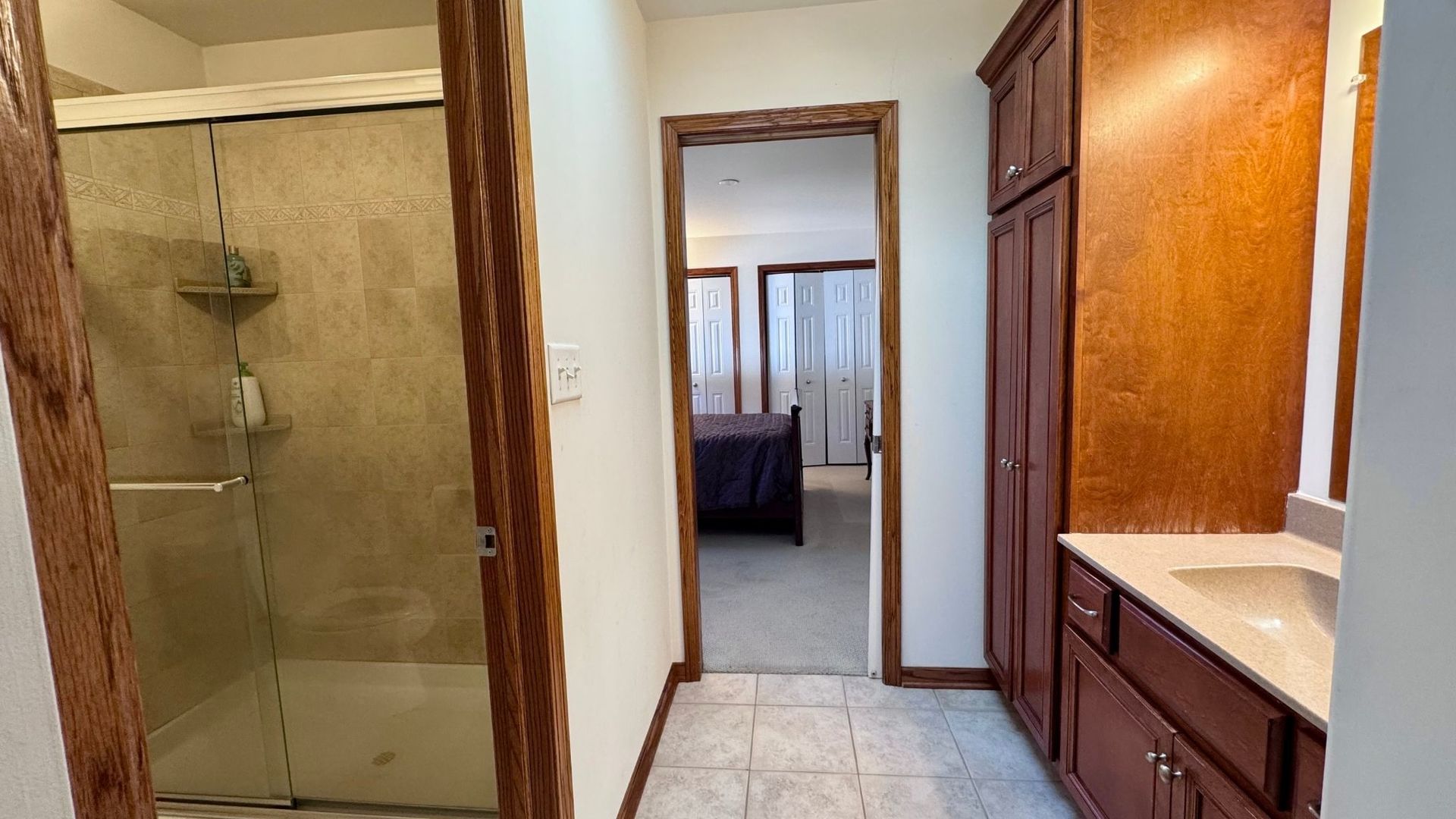 21249 Sophia Drive, Matteson, IL 60443