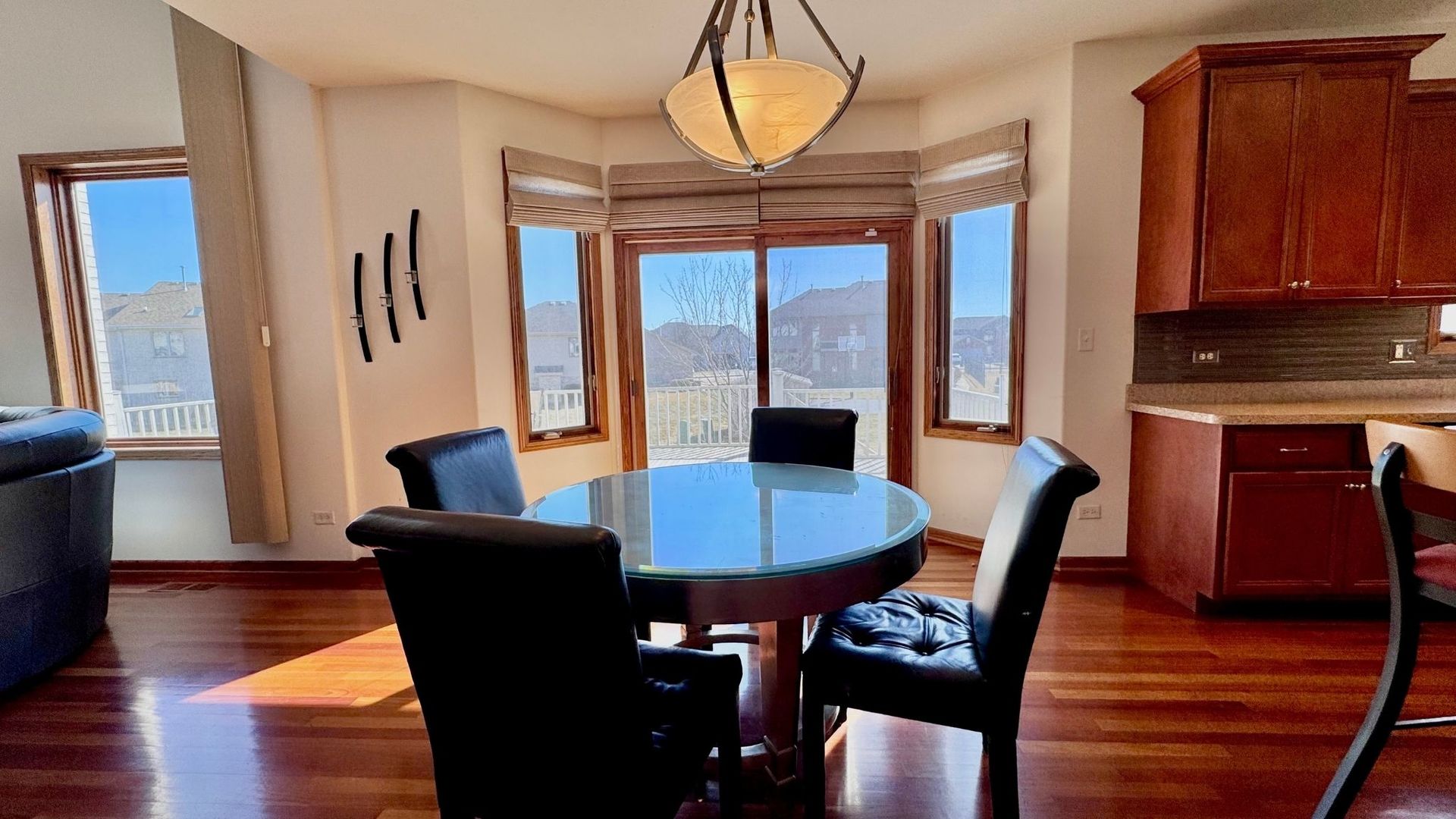 21249 Sophia Drive, Matteson, IL 60443