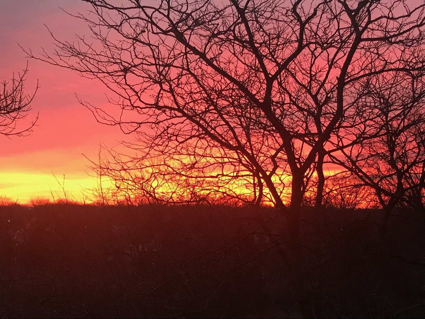 35 S Baybrook Drive #610, Palatine, IL 60074