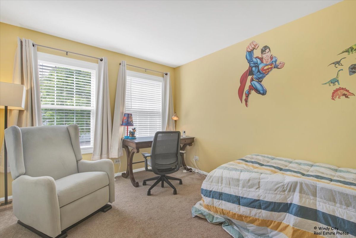 125 Chestnut Hills Circle, Burr Ridge, IL 60527