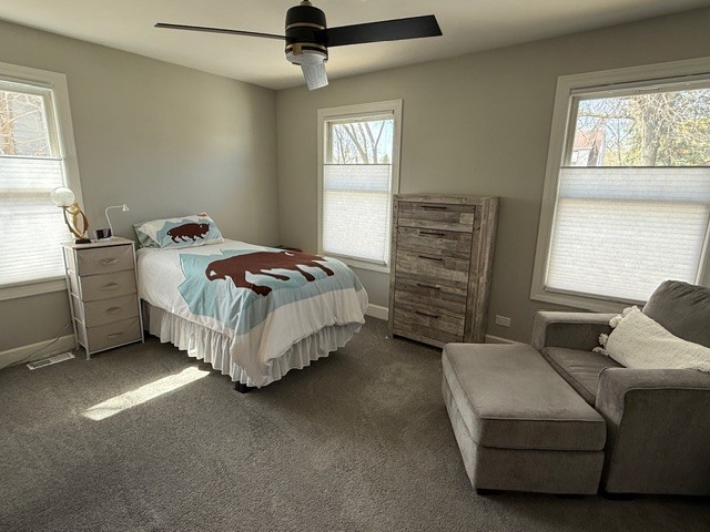 121 N Princeton Avenue, Villa Park, IL 60181