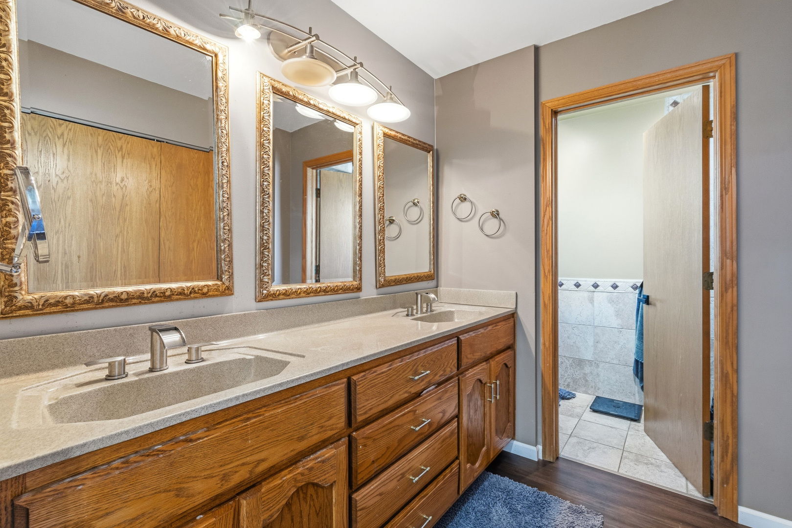 16951 Shannon Drive, Tinley Park, IL 60477