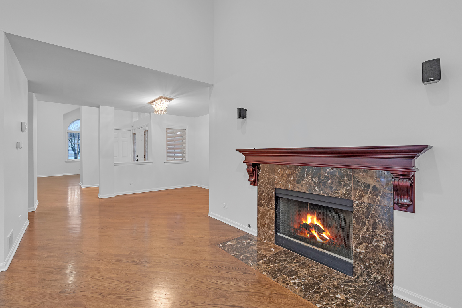 141 Manchester Court, Buffalo Grove, IL 60089