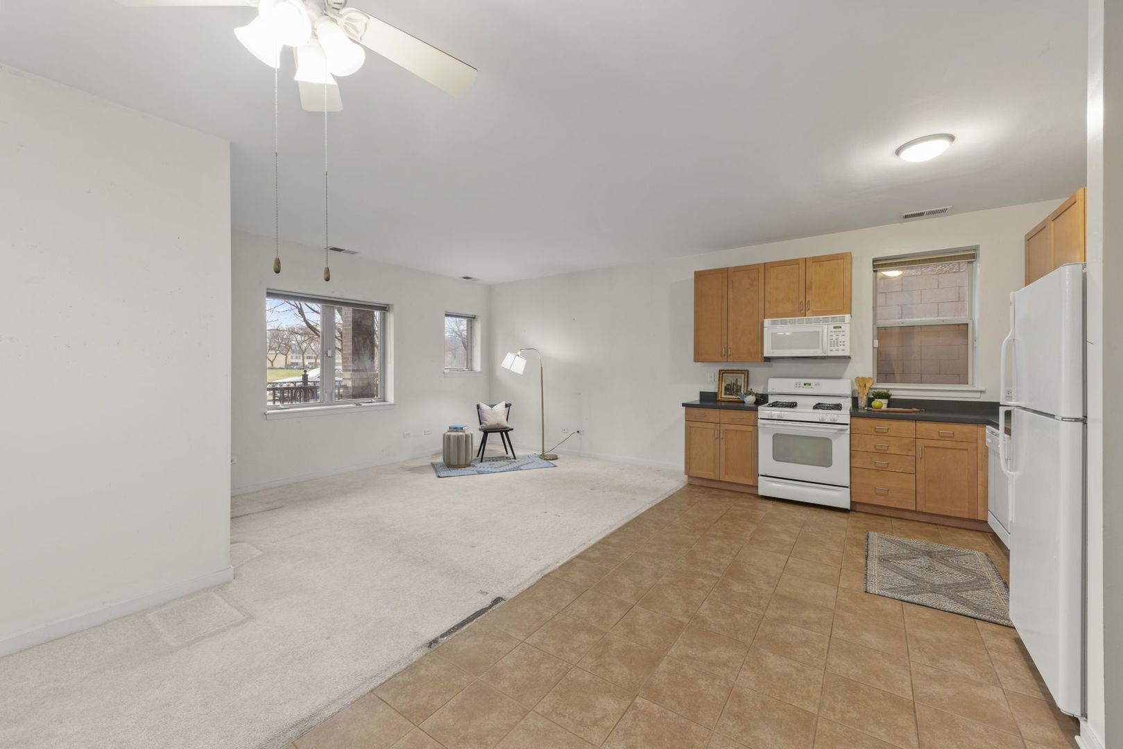 915 S Lytle Street #102, Chicago, IL 60607