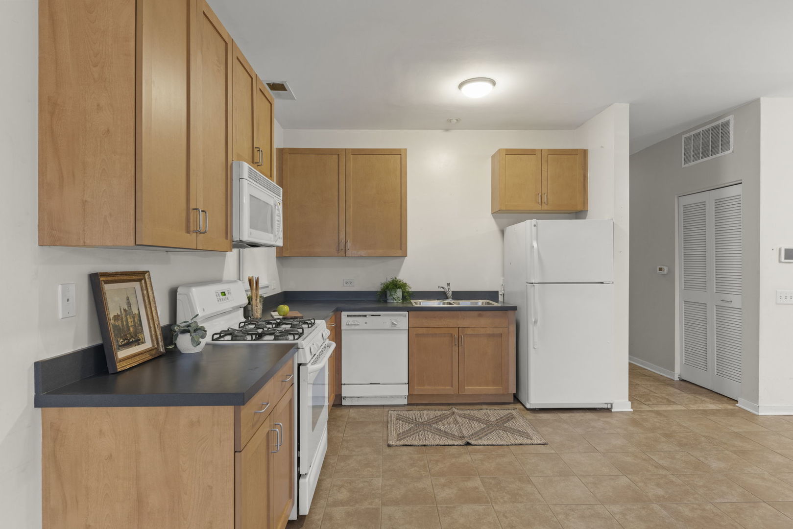 915 S Lytle Street #102, Chicago, IL 60607