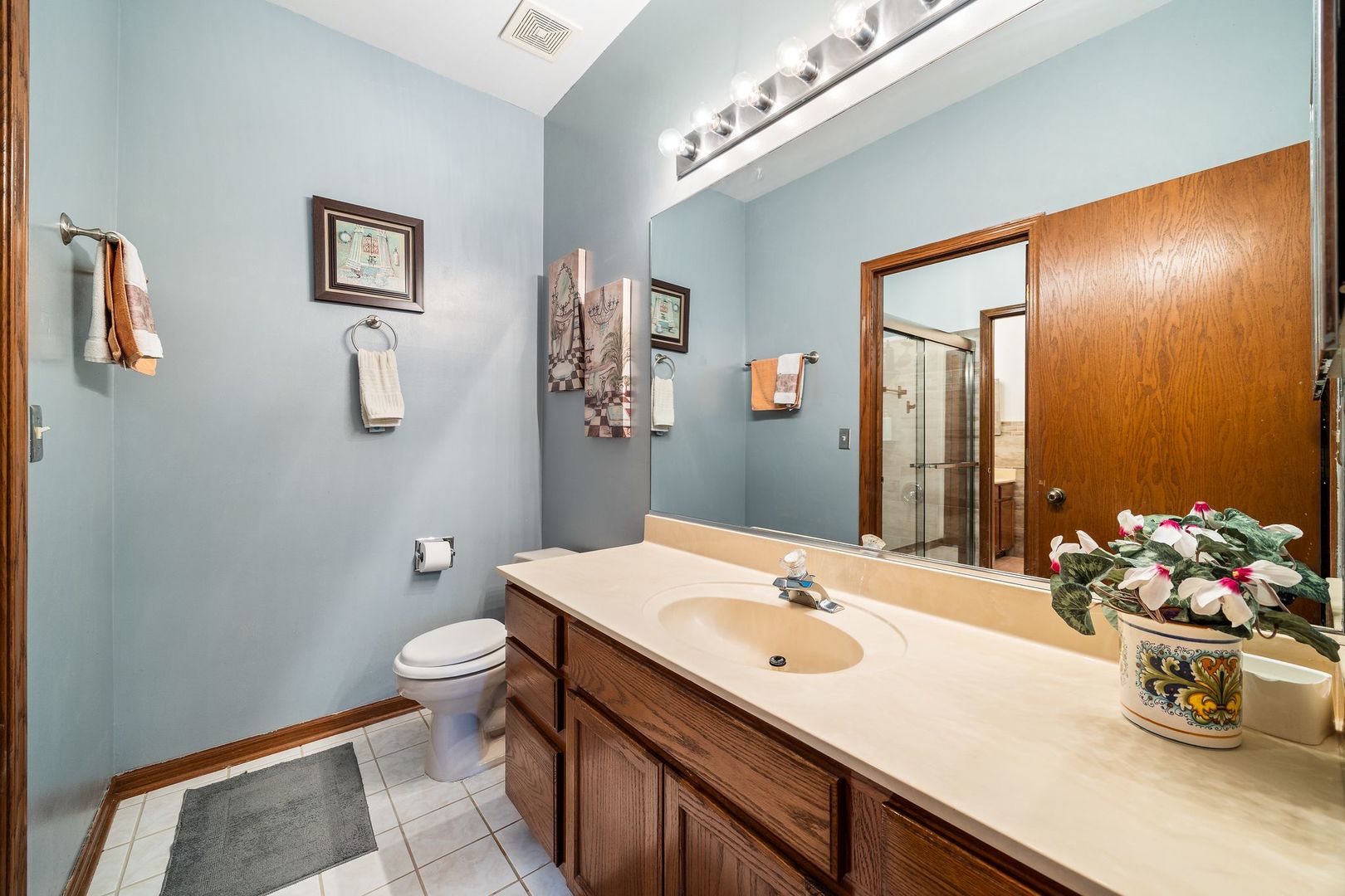 14253 S Napa Circle, Plainfield, IL 60544