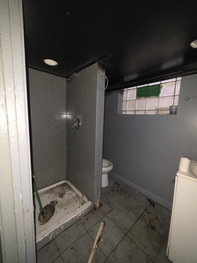 14129 S Dearborn Street, Riverdale, IL 60827