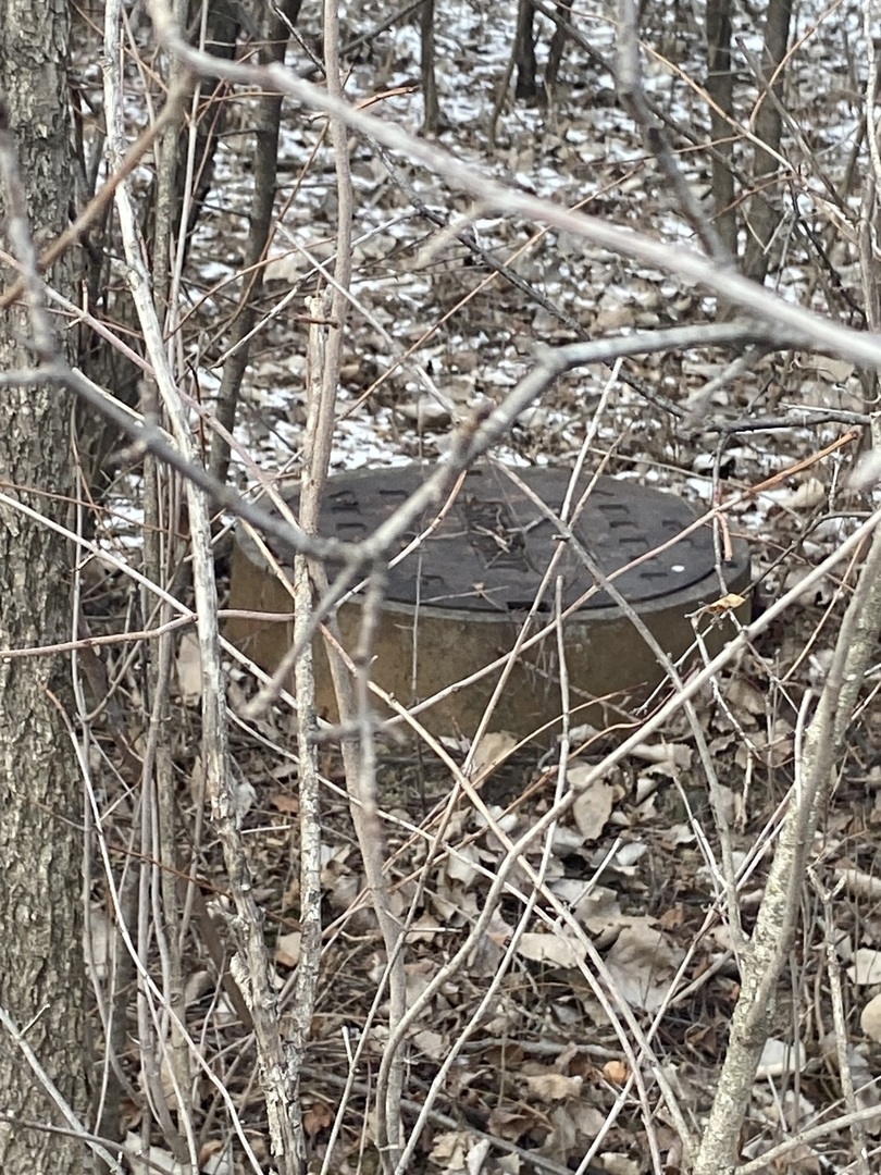 23345 Central Park Avenue, Richton Park, IL 60471