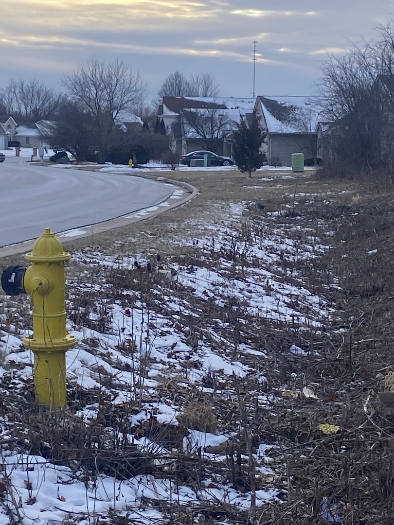 23345 Central Park Avenue, Richton Park, IL 60471