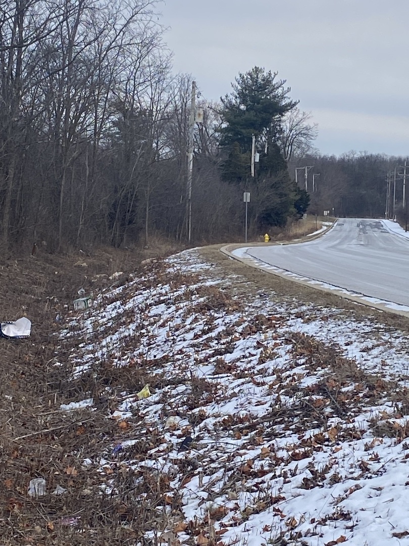 23345 Central Park Avenue, Richton Park, IL 60471