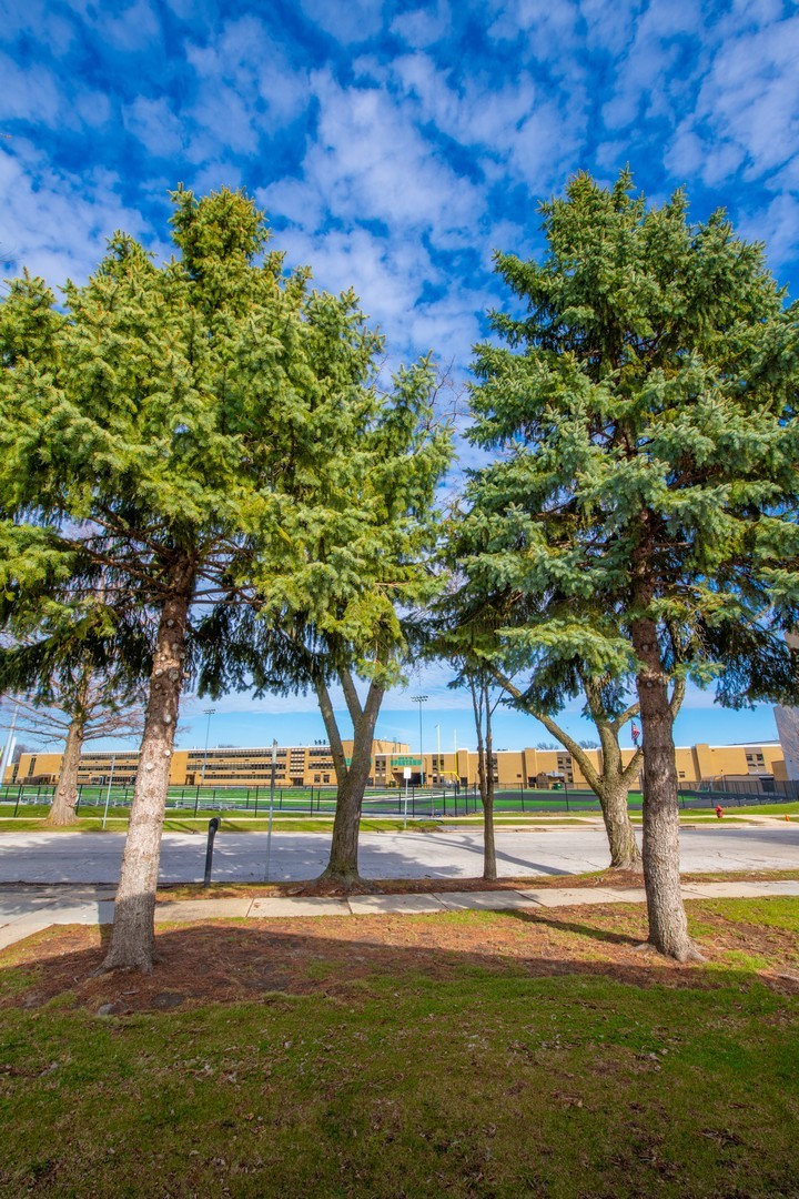 9342 Austin Avenue, Oak Lawn, IL 60453