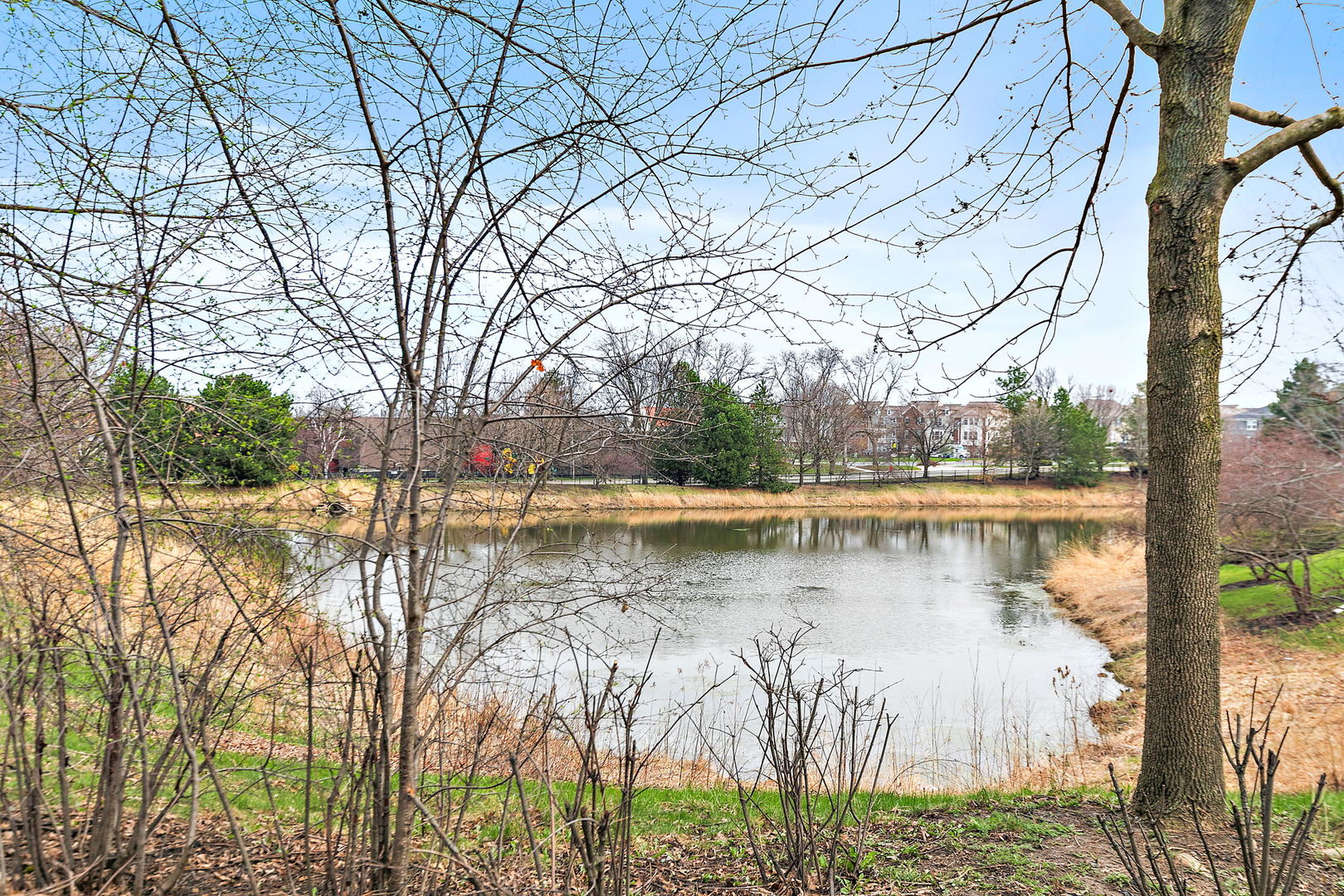 227 Lincoln Street, Schaumburg, IL 60194