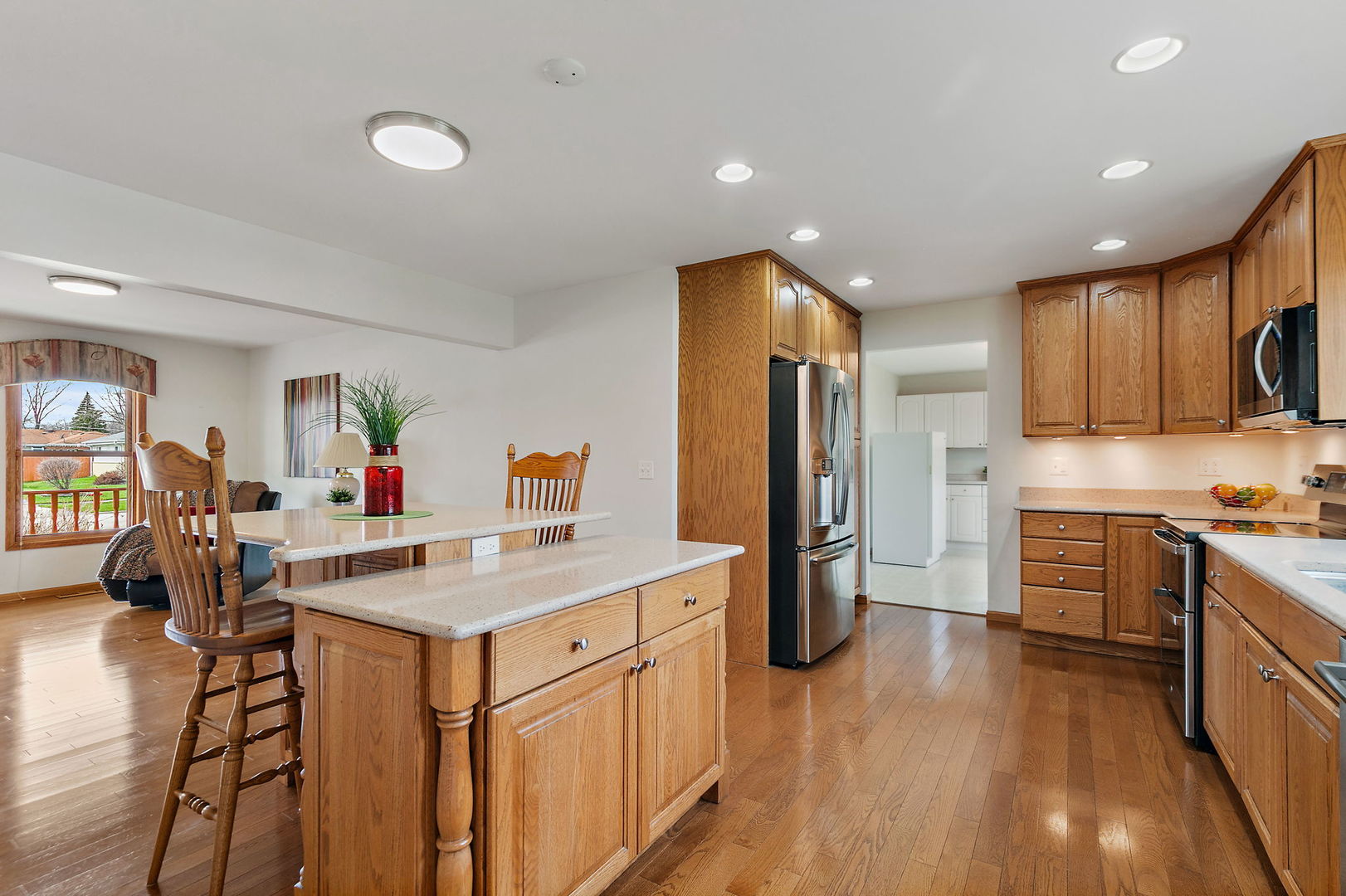 227 Lincoln Street, Schaumburg, IL 60194