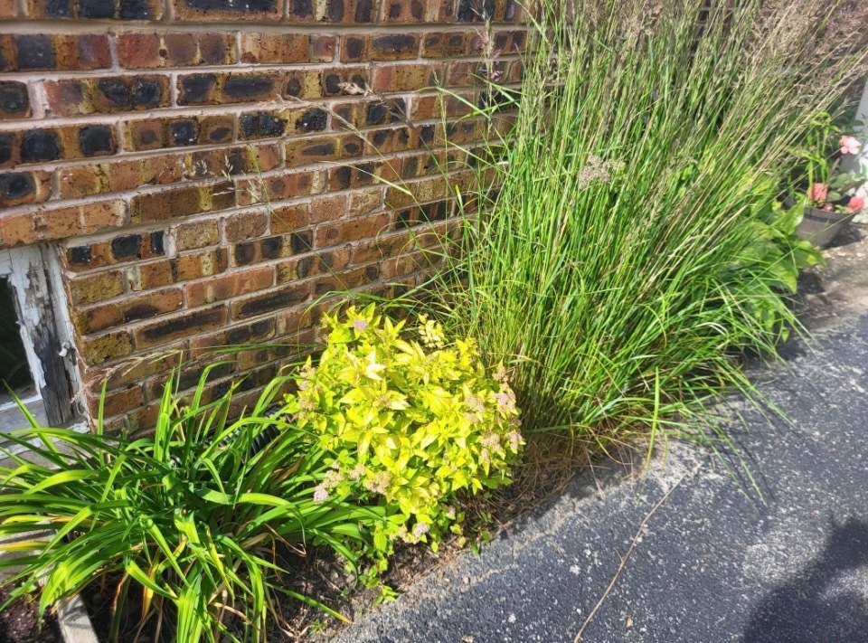 18630 Highland Avenue, Homewood, IL 60430