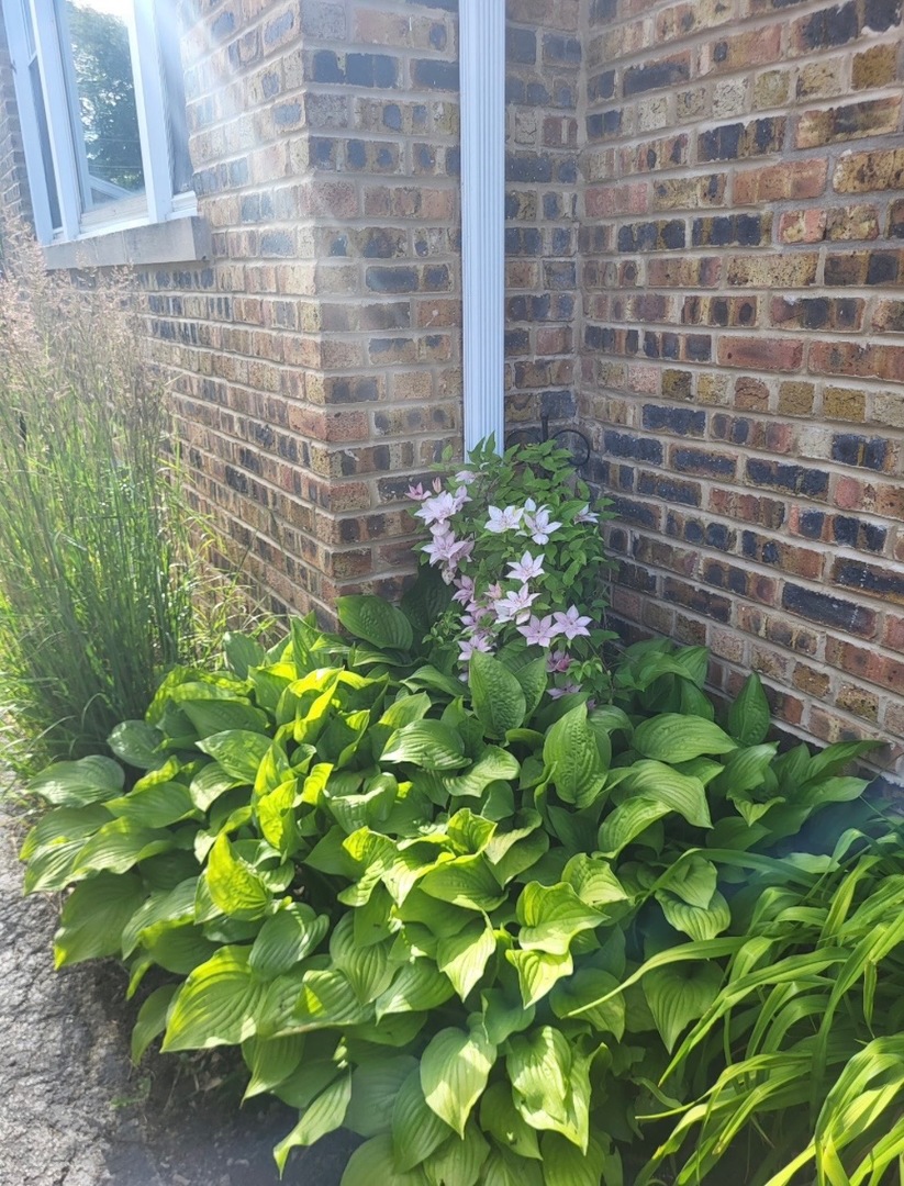 18630 Highland Avenue, Homewood, IL 60430