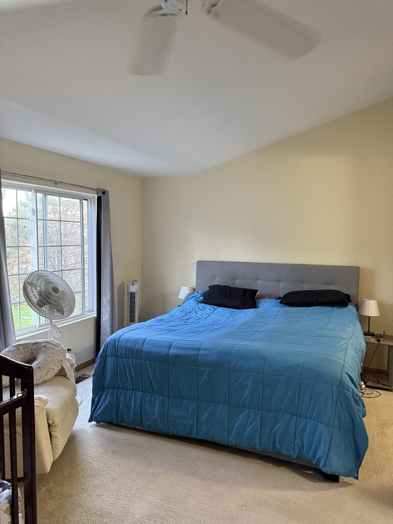 19 Windsor Circle #B, South Elgin, IL 60177