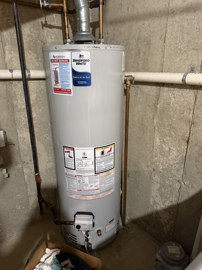 19 Windsor Circle #B, South Elgin, IL 60177