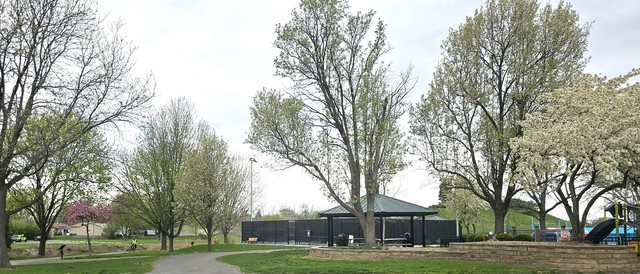 305 Lexington Lane, Rolling Meadows, IL 60008