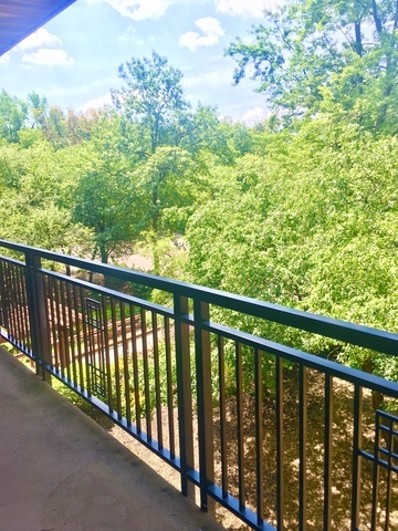 6020 Oakwood Drive #3J, Lisle, IL 60532