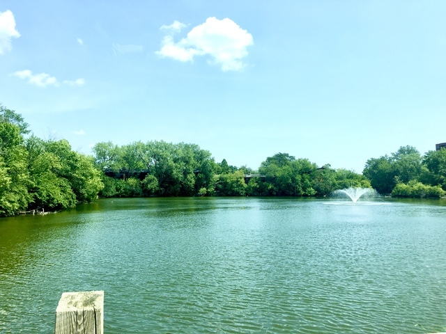 6020 Oakwood Drive #3J, Lisle, IL 60532