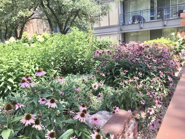 6020 Oakwood Drive #3J, Lisle, IL 60532