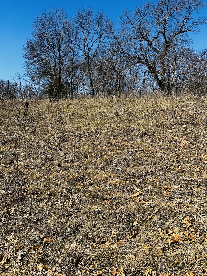 5266 S 12750e Road, Pembroke Twp, IL 60958